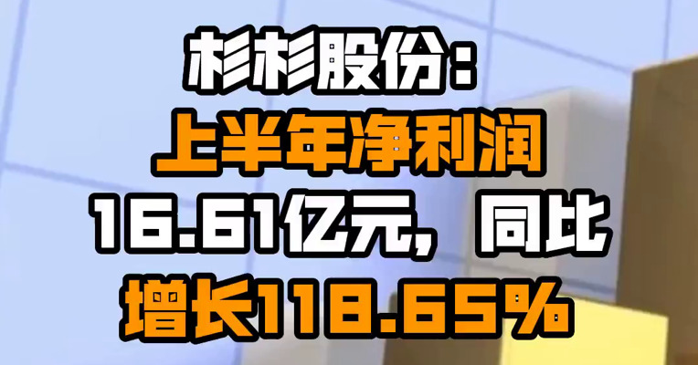 杉杉股份：上半年净利润16.61亿元，同比增长118.65%