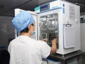 无需生殖细胞和子宫，科学家人工合成小鼠胚胎！或为干细胞疗法提供重要线索