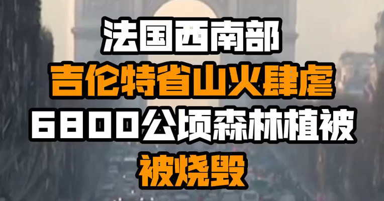 法国西南部吉伦特省山火肆虐，6800公顷森林植被被烧毁