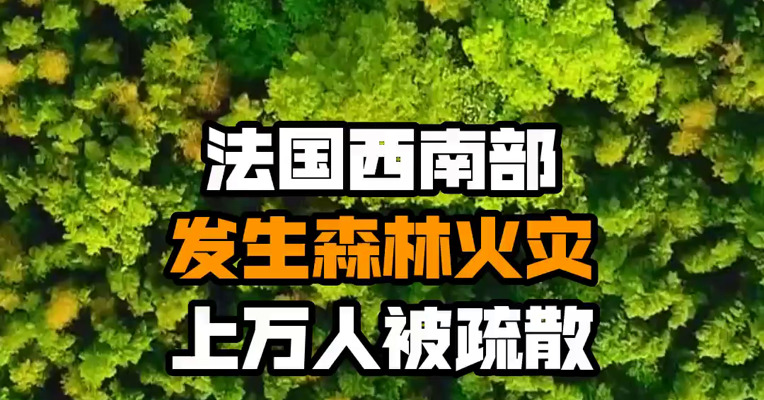 法国西南部发生森林火灾 上万人被疏散