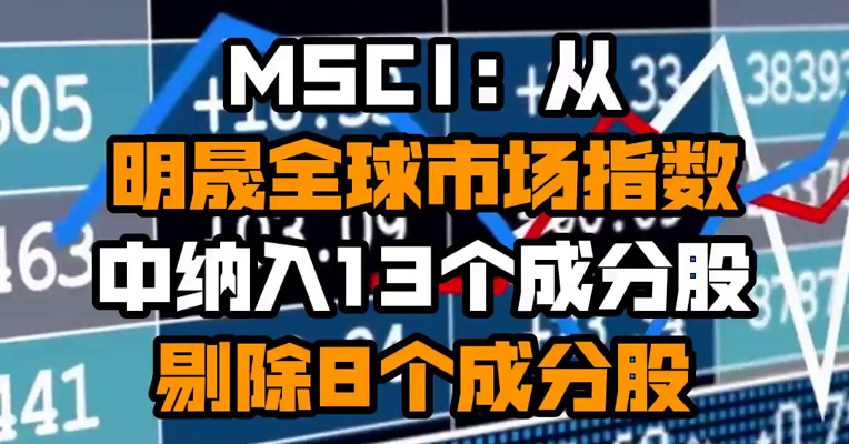 MSCI：从明晟全球市场指数中纳入13个成分股 剔除8个成分股