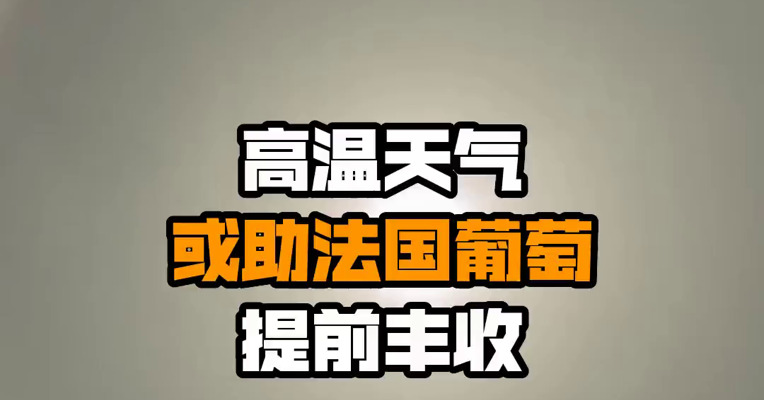 高温天气或助法国葡萄提前丰收