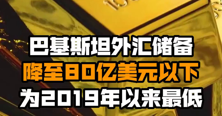 巴基斯坦外汇储备降至80亿美元以下 为2019年以来最低