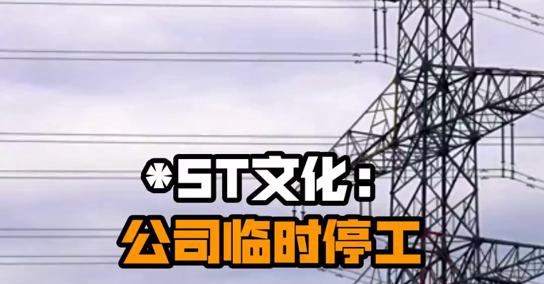 *ST文化：公司临时停工