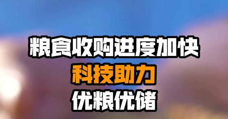 粮食收购进度加快 科技助力优粮优储

