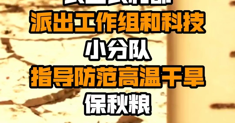 农业农村部派出工作组和科技小分队指导防范高温干旱保秋粮