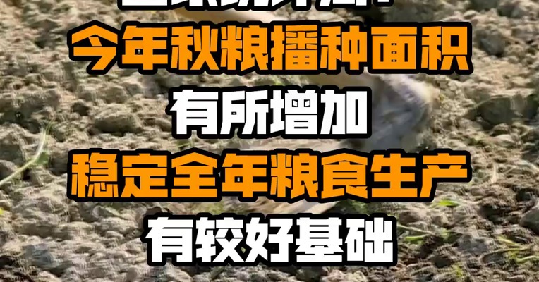 国家统计局：今年秋粮播种面积有所增加 稳定全年粮食生产有较好基础
