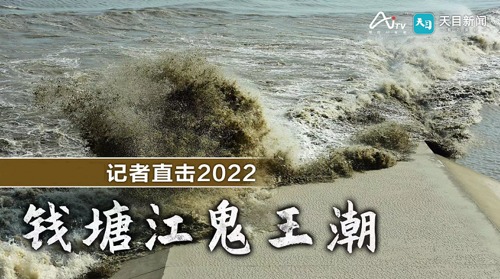 直播丨现场直击2022钱塘江鬼王潮 