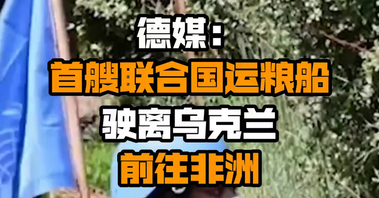 德媒：首艘联合国运粮船驶离乌克兰前往非洲