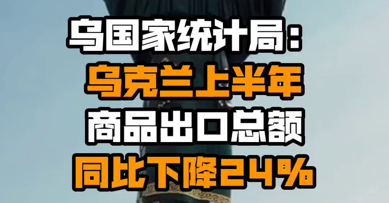 乌国家统计局：乌克兰上半年商品出口总额同比下降24%