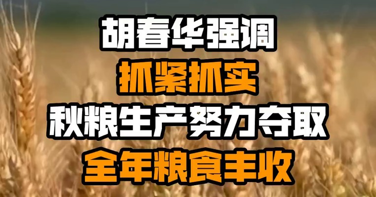 胡春华强调 抓紧抓实秋粮生产努力夺取全年粮食丰收