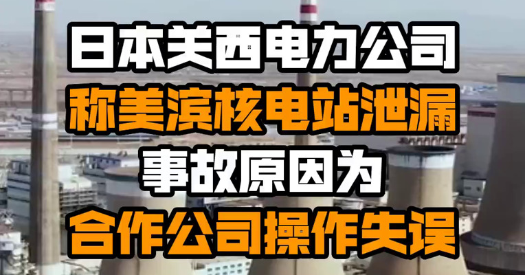 日本关西电力公司称美滨核电站泄漏事故原因为合作公司操作失误