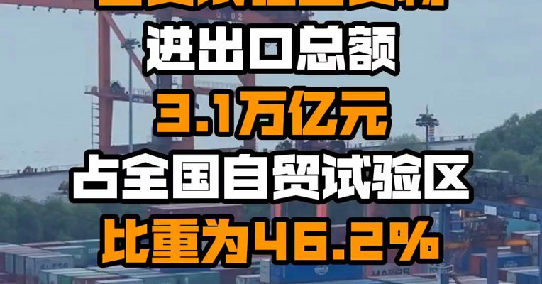 2021年沪苏浙皖自贸试验区货物进出口总额3.1万亿元 占全国自贸试验区比重为46.2%