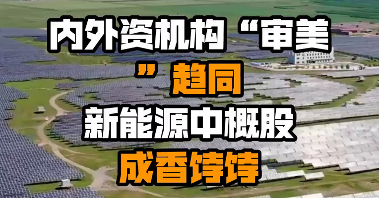 内外资机构“审美”趋同 新能源中概股成香饽饽