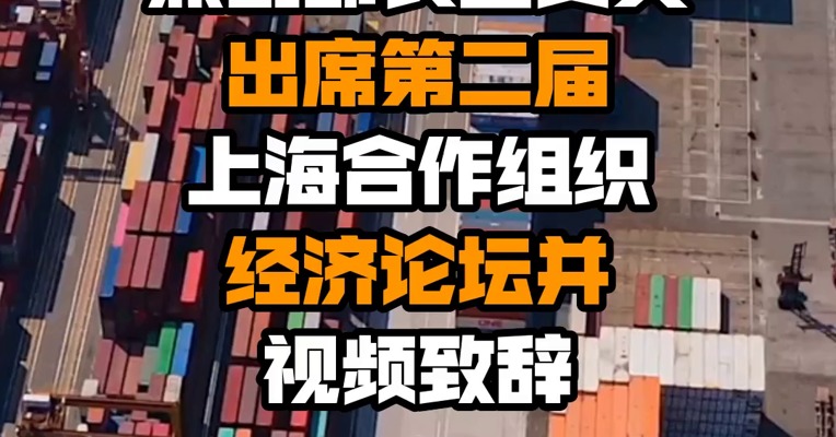 商务部国际贸易谈判代表兼副部长王受文出席第二届上海合作组织经济论坛并视频致辞