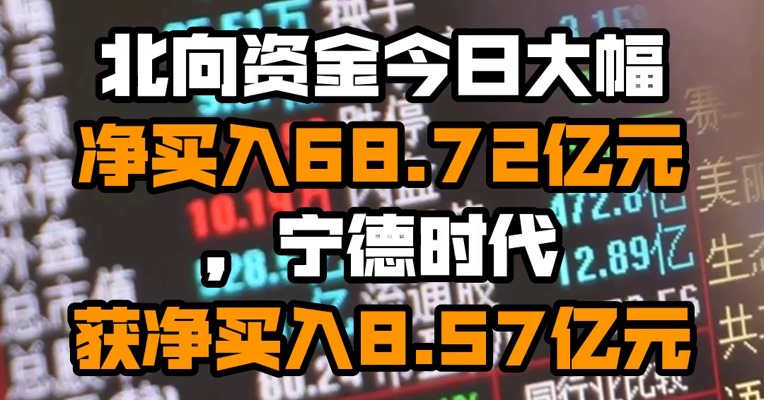 北向资金今日大幅净买入68.72亿元，宁德时代获净买入8.57亿元