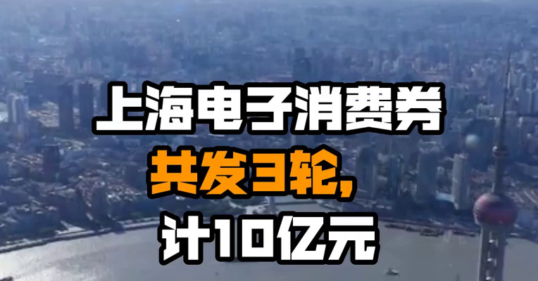 上海电子消费券共发3轮，计10亿元