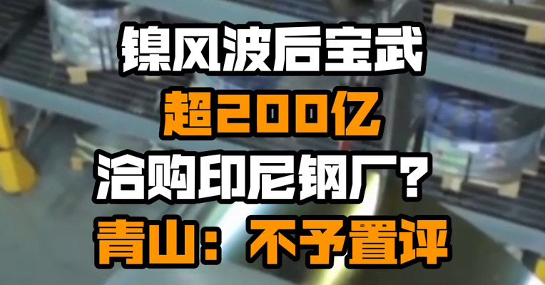 镍风波后宝武超200亿洽购印尼钢厂？青山：不予置评