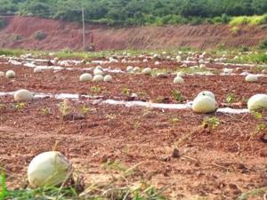 热爆！这一省558个气象监测站气温超40℃，城区似“火炉”！三峡水库加大下泄，将补水5亿立方米……