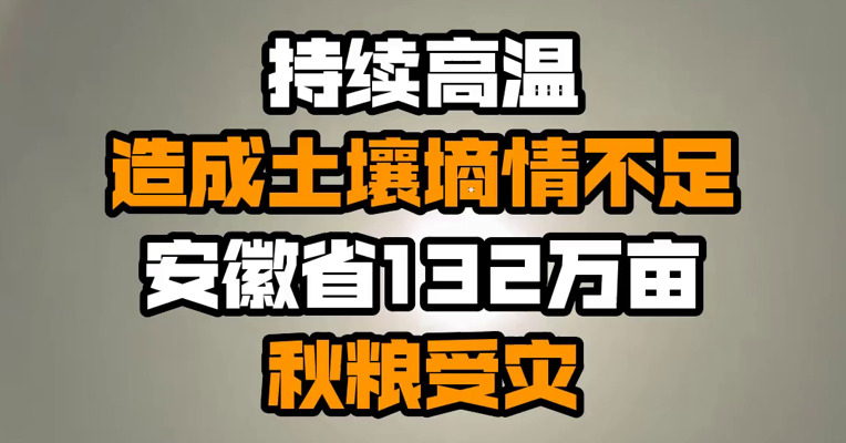 持续高温造成土壤墒情不足 安徽省132万亩秋粮受灾