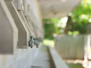 “供水形势异常严峻”，云南一县城通告：今日起每天供水10小时，高温干旱对农业生产有多大影响？专家解读...
