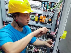 加快风电机组投运步伐和保障机组运营维护 东方电气集团助力川内电力保供