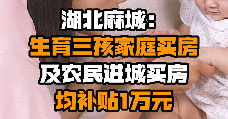 湖北麻城：生育三孩家庭买房及农民进城买房均补贴1万元