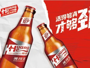 主业不振、营收下滑 兰州黄河靠“炒股养家”？