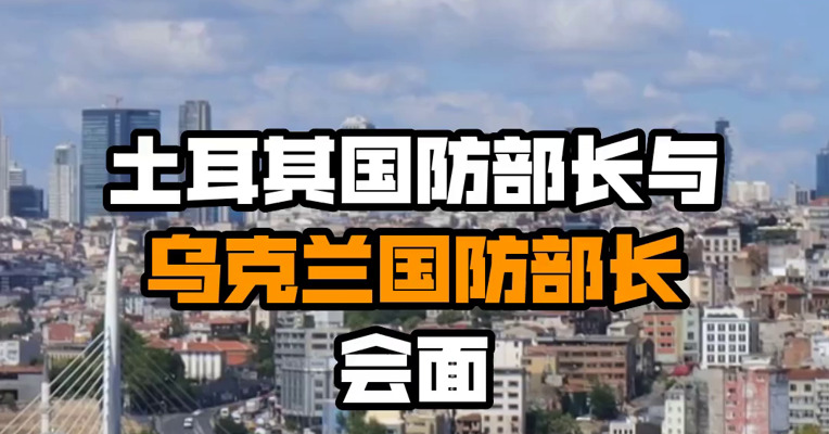 土耳其国防部长与乌克兰国防部长会面
