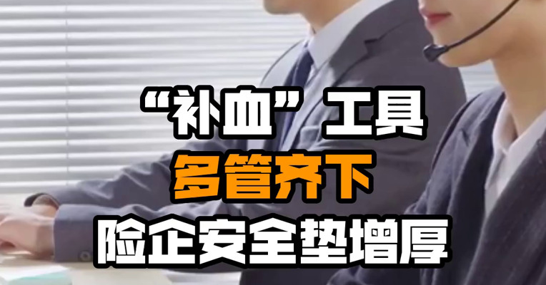  “补血”工具多管齐下 险企安全垫增厚