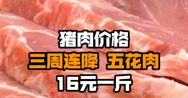 猪肉价格三周连降 五花肉16元一斤