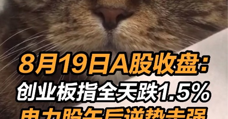 8月19日A股收盘：创业板指全天跌1.5% 电力股午后逆势走强 