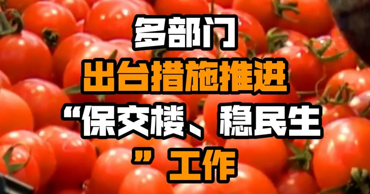 多部门出台措施推进“保交楼、稳民生”工作
