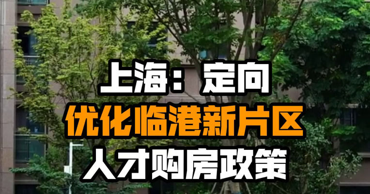 上海：定向优化临港新片区人才购房政策