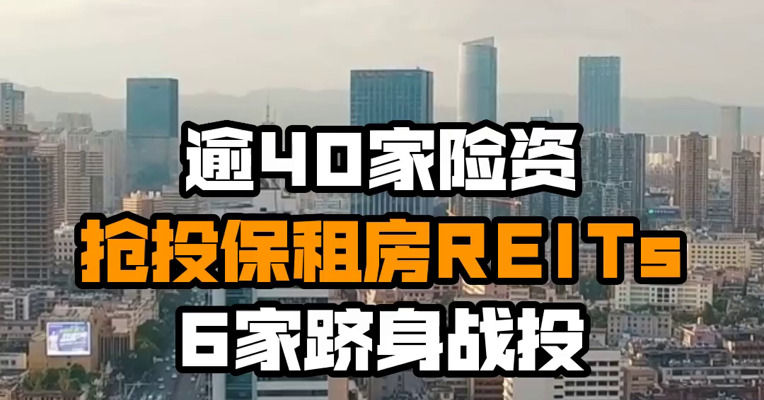 逾40家险资抢投保租房REITs 6家跻身战投