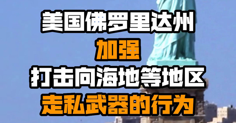 美国佛罗里达州加强打击向海地等地区走私武器的行为