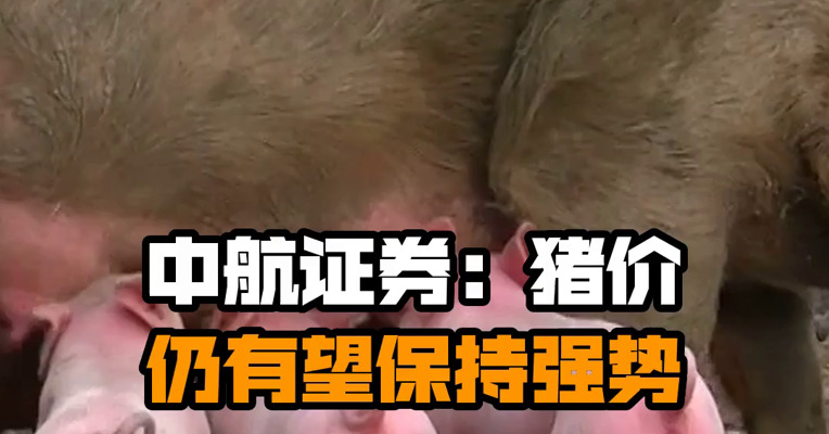 中航证券：猪价仍有望保持强势