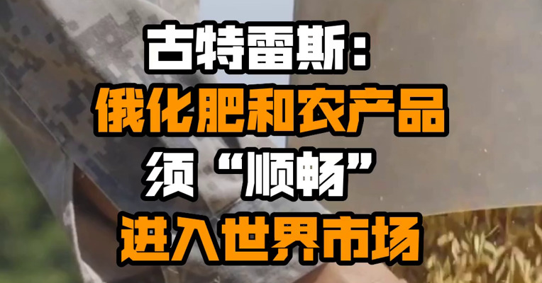 古特雷斯：俄化肥和农产品须“顺畅”进入世界市场