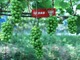 Hnowdpondj1661067708670.thumb_hs