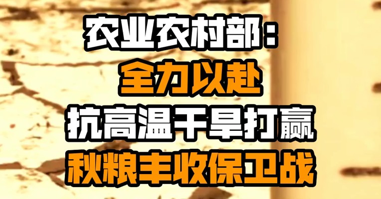 农业农村部：全力以赴抗高温干旱打赢秋粮丰收保卫战
