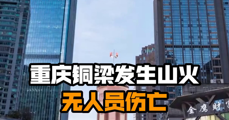 重庆铜梁发生山火 无人员伤亡