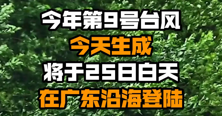 今年第9号台风今天生成 将于25日白天在广东沿海登陆