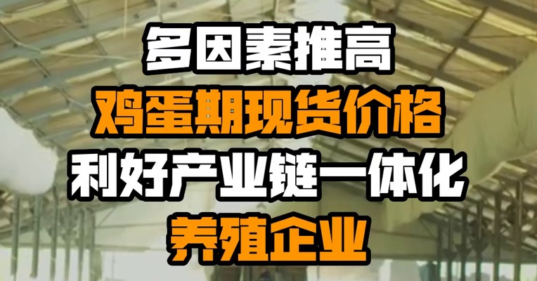 多因素推高鸡蛋期现货价格 利好产业链一体化养殖企业
