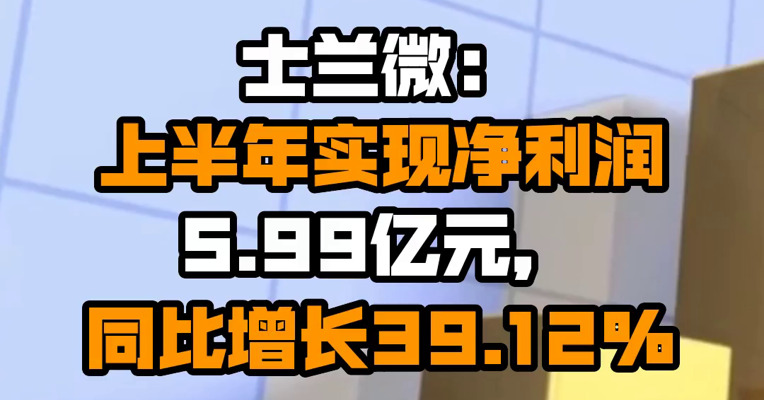士兰微：上半年实现净利润5.99亿元，同比增长39.12%