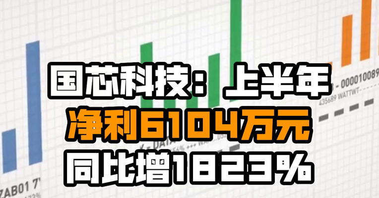 国芯科技：上半年净利6104万元 同比增1823%