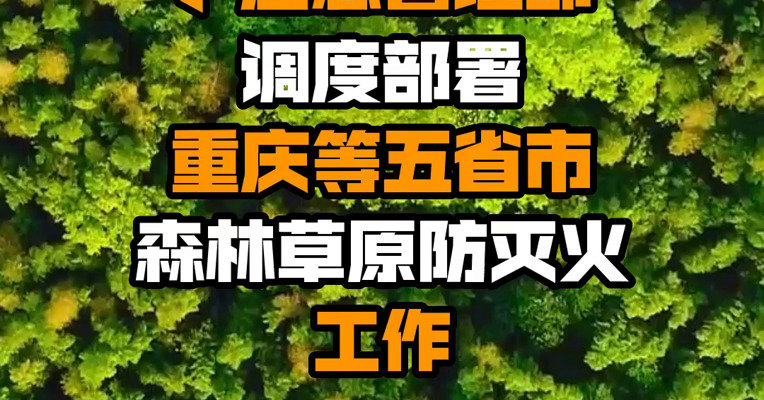 国家森防指办公室、应急管理部调度部署重庆等五省市森林草原防灭火工作