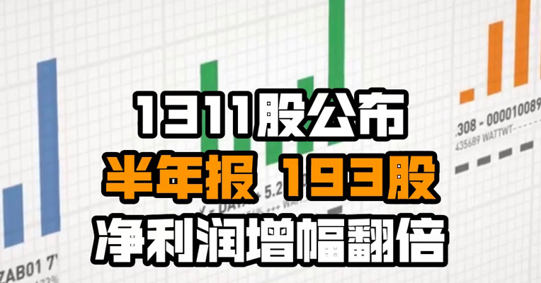1311股公布半年报 193股净利润增幅翻倍
