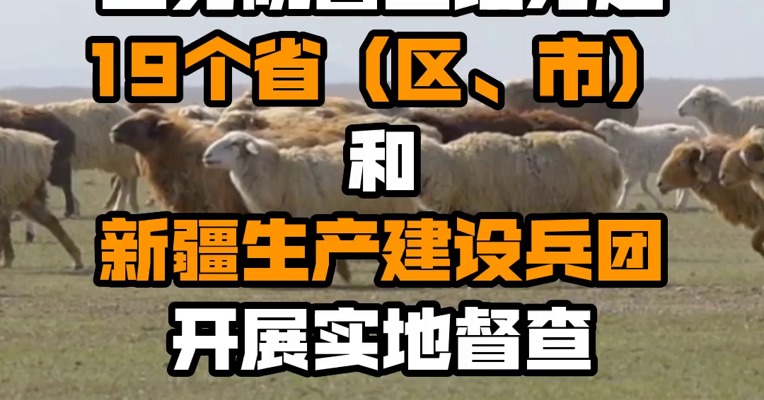 国务院督查组分赴19个省（区、市）和新疆生产建设兵团开展实地督查