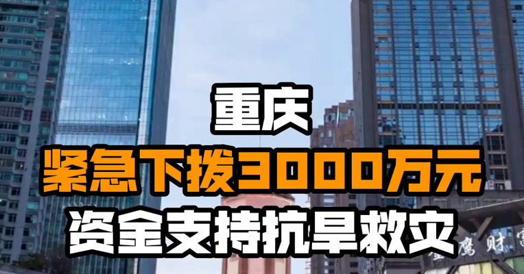 重庆紧急下拨3000万元资金支持抗旱救灾