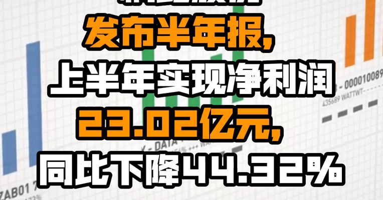 桐昆股份发布半年报，上半年实现净利润23.02亿元，同比下降44.32%